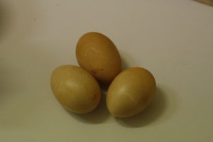 tinted eggs for L'ag B'Omer maybe