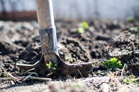 Help For A Summertime Garden